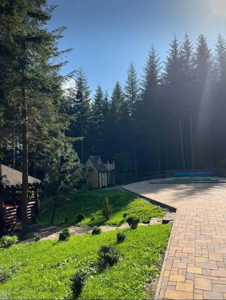 Ялинка Villa Migovo Exterior photo